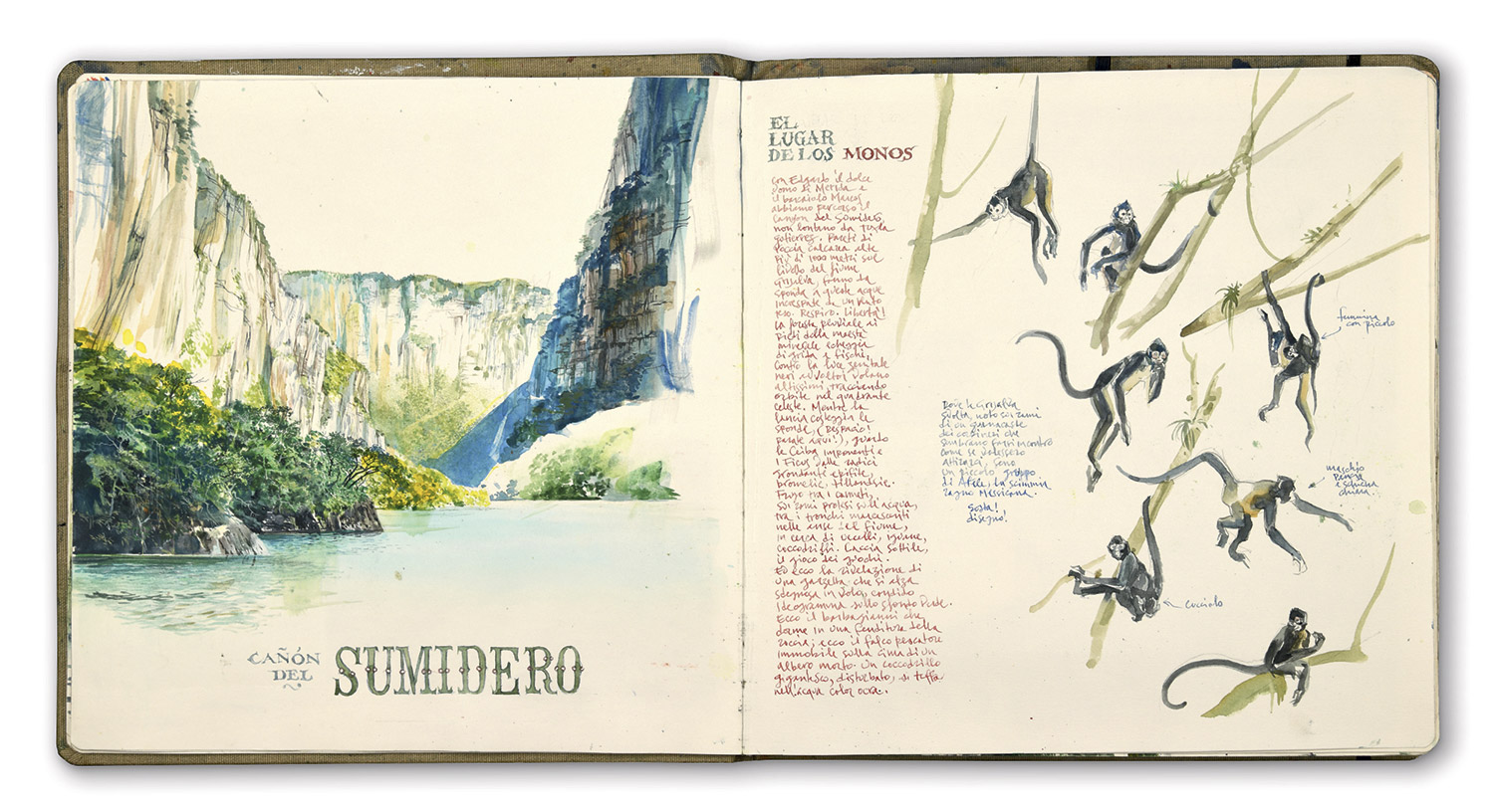 faravelli-MESSICO_Sumidero-w