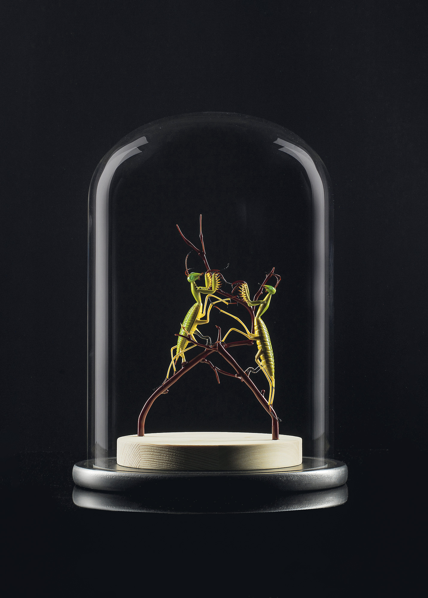 MFO_Praying-mantises_Emanuel-Toffolo-Artisan©All-rights-reserved_79893580